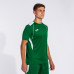 Футболка зелено-біла JOMA CHAMPION VII 103081.452