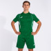 Футболка зелено-біла JOMA CHAMPION VII 103081.452