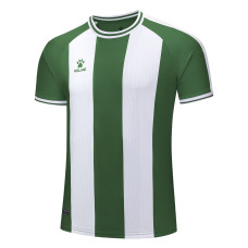 Футболка Kelme зелено-біла GRANADA 7451ZB1795.9311