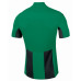 Футболка зелено-чорна JOMA Pisa V 100403.451 Футболка зелено-чорна JOMA Pisa V 100403.451
