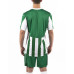 Футболка зелено-бiла JOMA COPA 100001.450