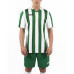 Футболка зелено-бiла JOMA COPA 100001.450