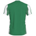 Футболка зелено-біла JOMA INTER 101287.452