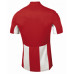 Футболка червоно-бiла JOMA Pisa V 100403.600 Футболка червоно-бiла JOMA Pisa V 100403.600