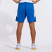 Шорти Joma GLASGOW синьо-білі 102975.702